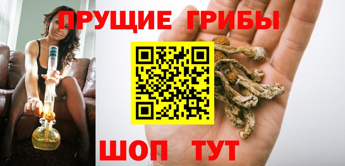 Псилоцибиновые грибы Psilocybe  Вход с VPN  Вичуга  Псилоцибиновые грибы мухоморы 